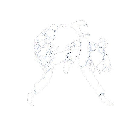 Bandong Ryok logo